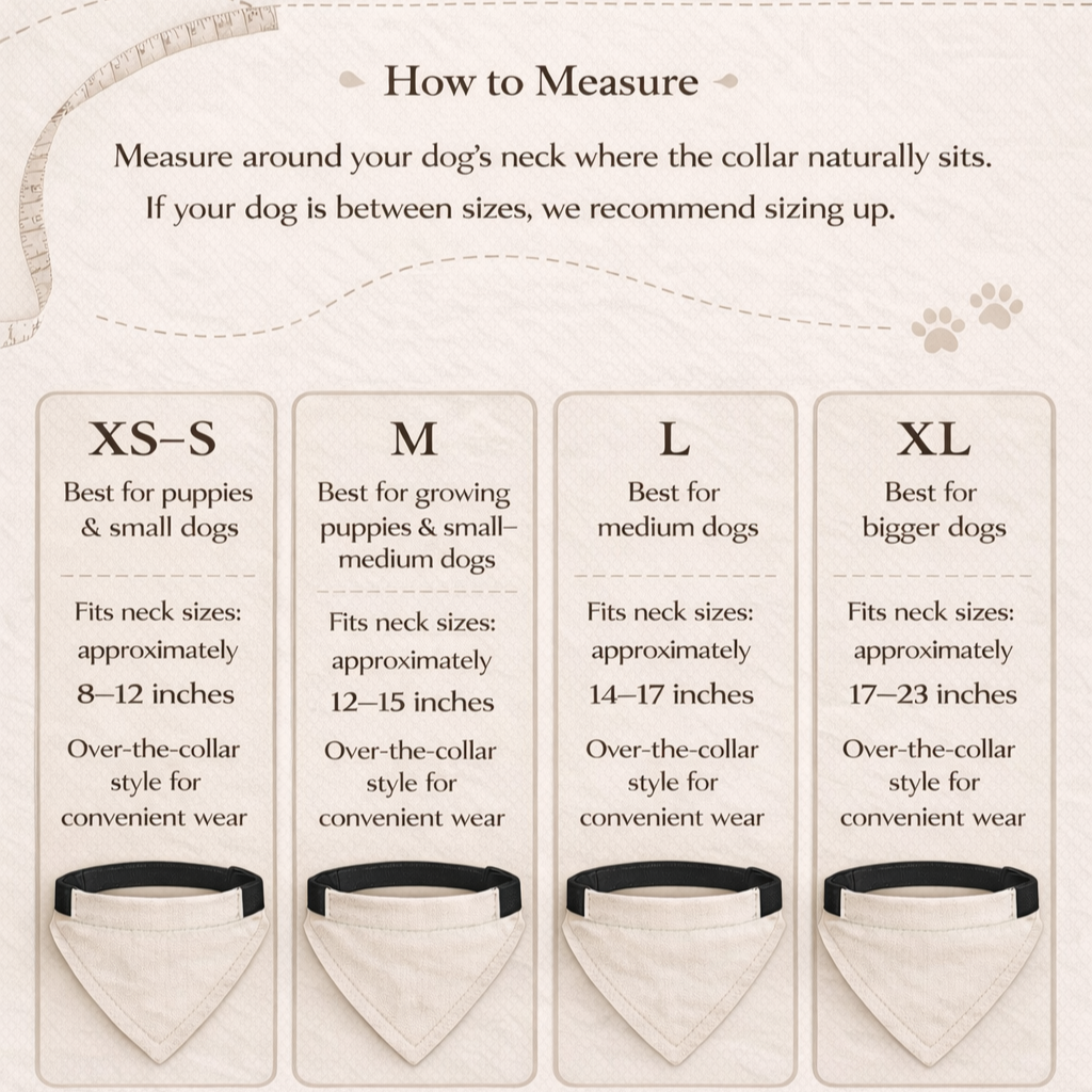 Forever Over the Collar Bandana